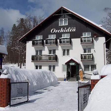 Orchidea Bed & Breakfast Szklarska Poreba Bagian luar foto