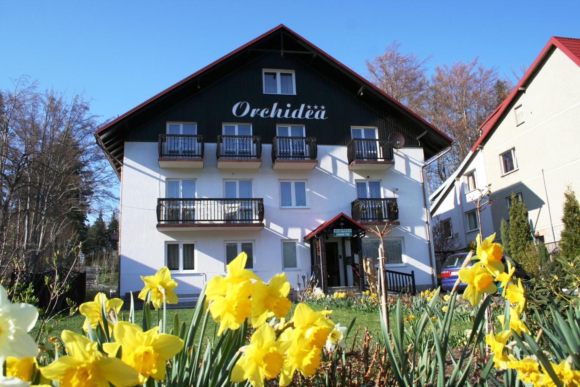 Orchidea Bed & Breakfast Szklarska Poreba Bagian luar foto